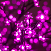 Photo of LED Blossom Tree 800 Realistic - Marquis Gardens